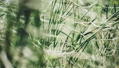 Как да направите амулет за късмет със собствените си ръце