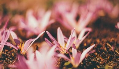 как да направите амулет за късмет със собствените си ръце